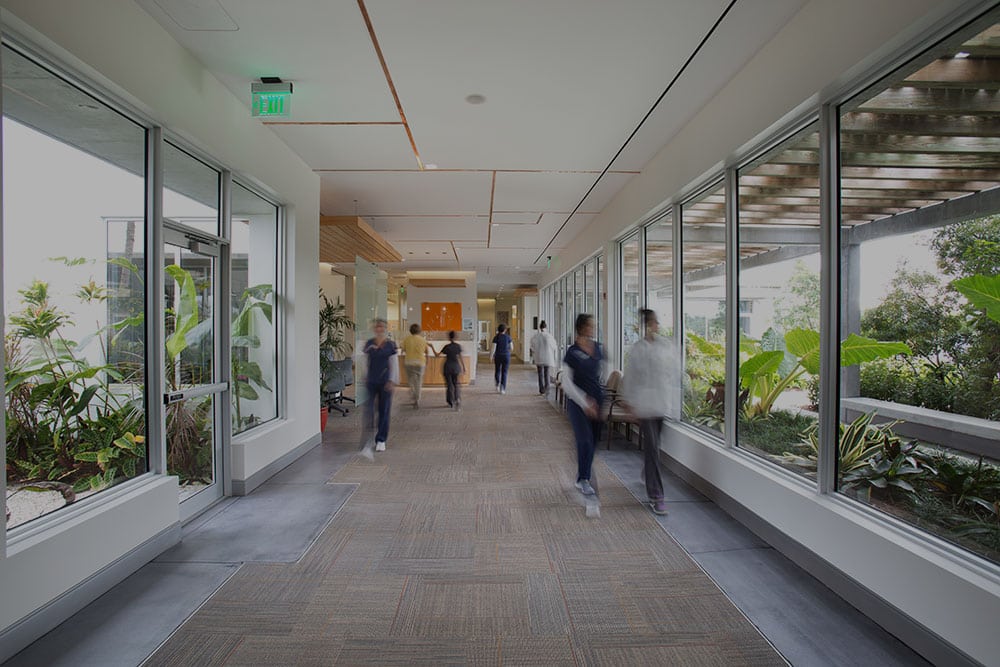 Spodak Dental Groups Hallway in Office Building